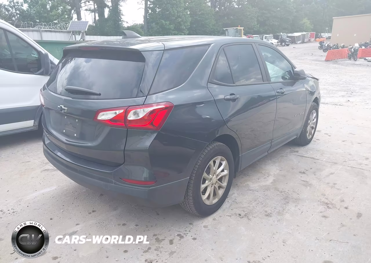 2020 Chevrolet Equinox Fwd Ls VIN:2GNAXHEV1L6279819 - 4