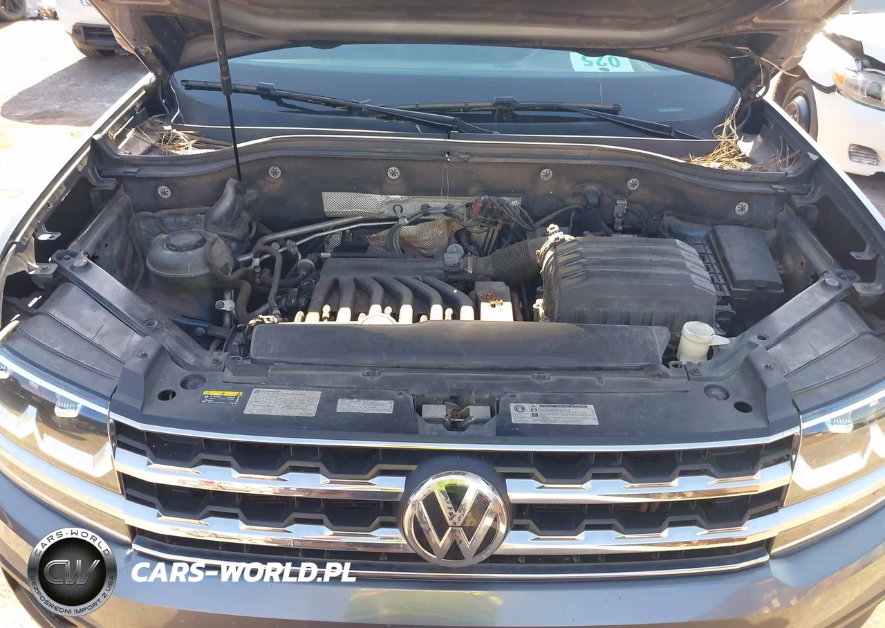 2019 Volkswagen Atlas 3.6L V6 Se W-Technology VIN:1V2WR2CA5KC595797 - 10