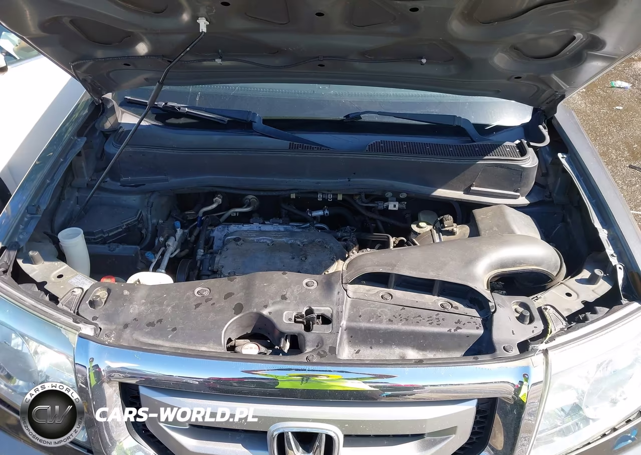 2010 Honda Pilot Ex-L VIN:5FNYF3H61AB007652 - 10