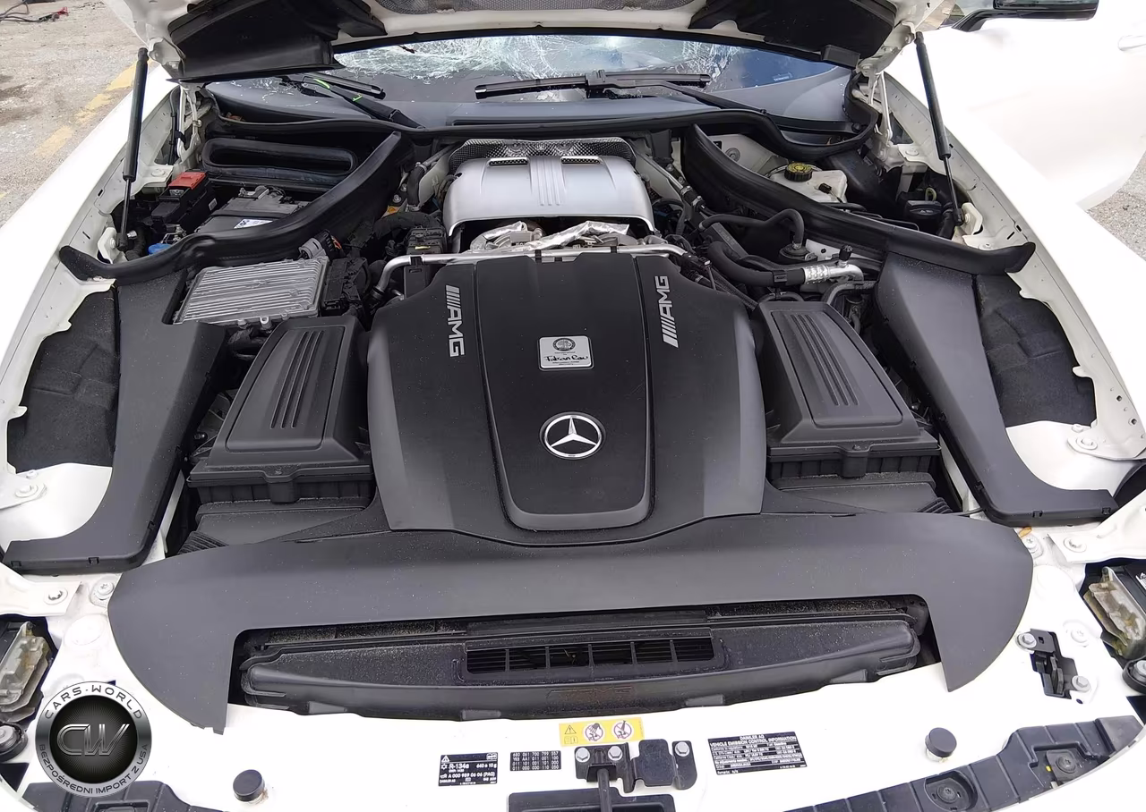 2018 Mercedes-Benz Amg Gt C VIN:WDDYK8AA1JA020312 - 10