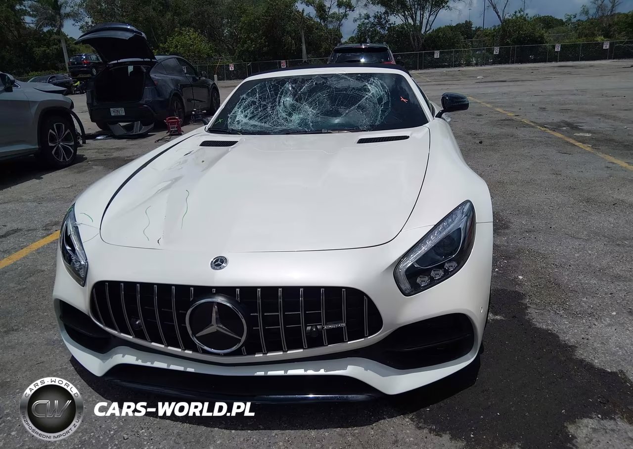 2018 Mercedes-Benz Amg Gt C VIN:WDDYK8AA1JA020312 - 12