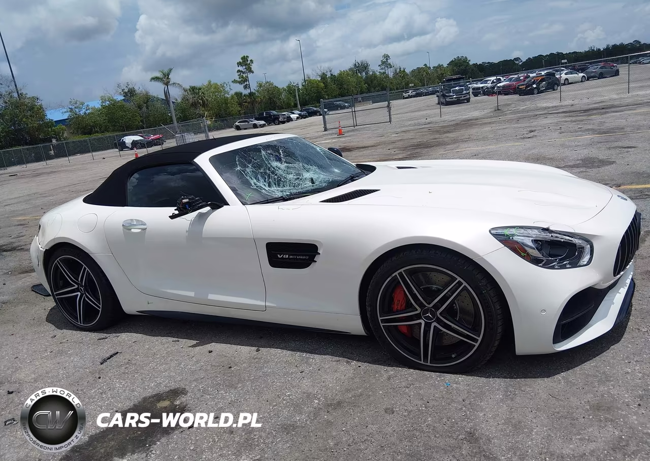 2018 Mercedes-Benz Amg Gt C VIN:WDDYK8AA1JA020312 - 13