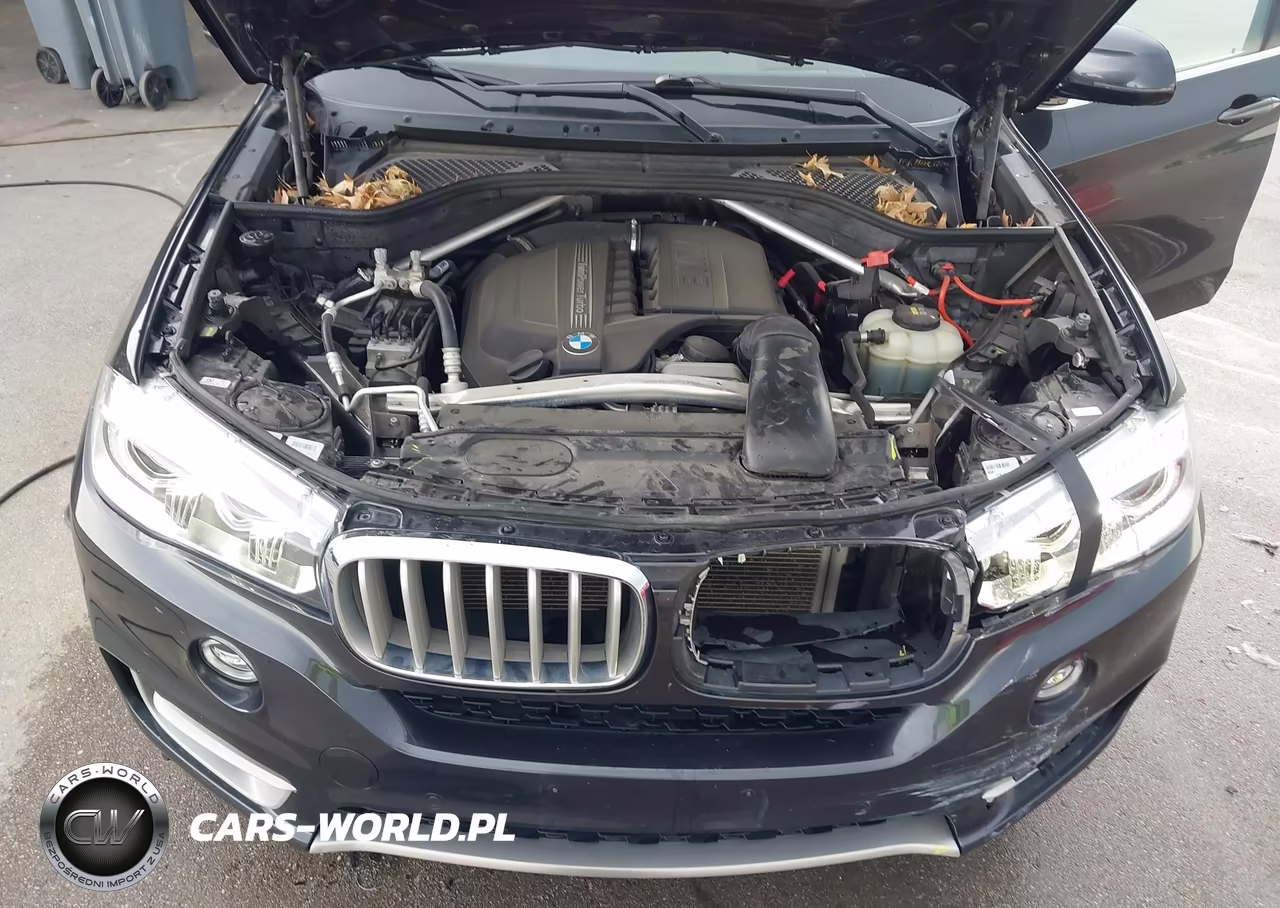 2018 BMW X5 xDrive35I VIN:5UXKR0C5XJ0X96326 - 10