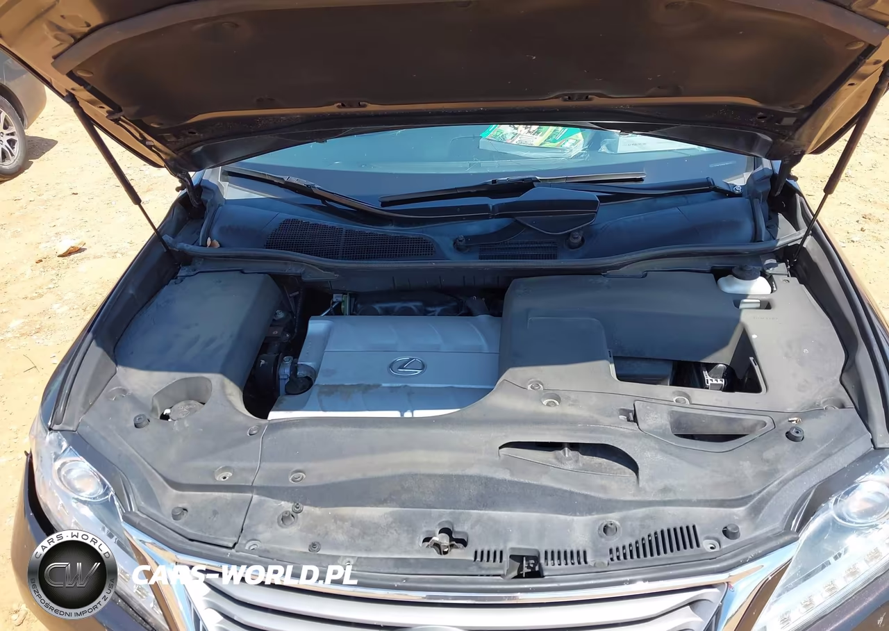 2013 Lexus Rx 350 VIN:2T2BK1BA6DC164116 - 10
