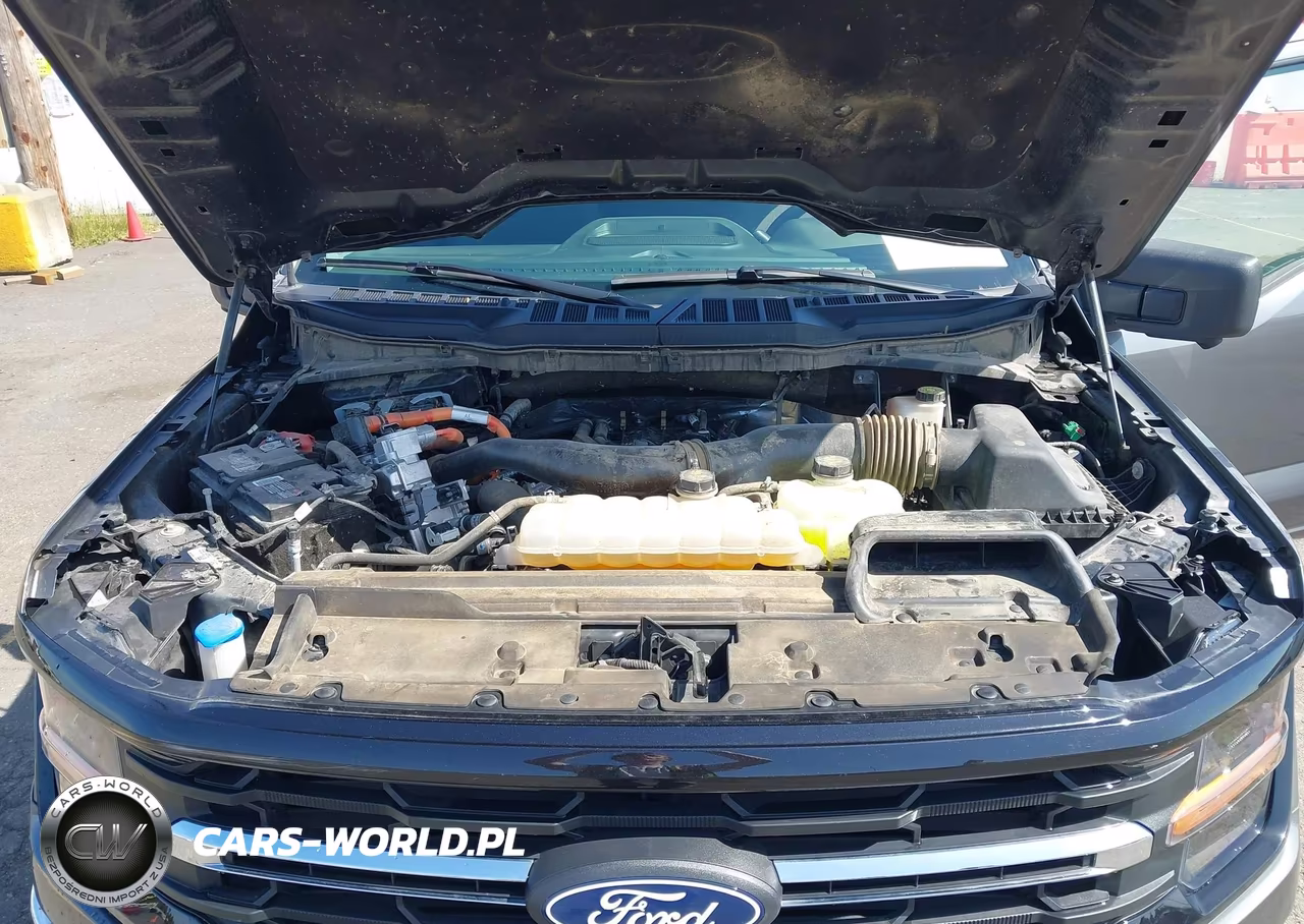 2024 Ford F-150 Xlt VIN:1FTFW3LD0RFA71878 - 10