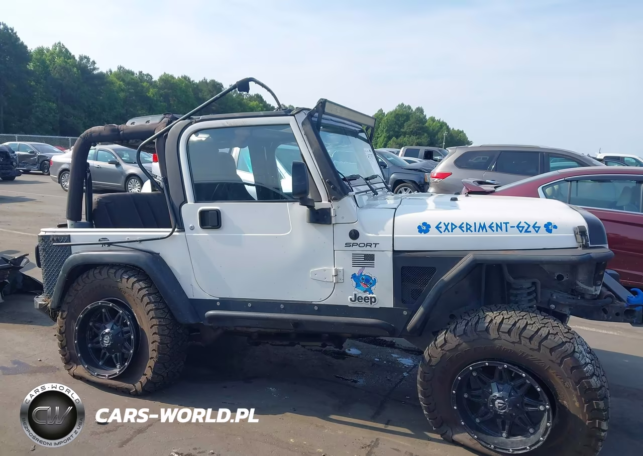 2003 Jeep Wrangler Sport VIN:1J4FA49S73P350122 - 13