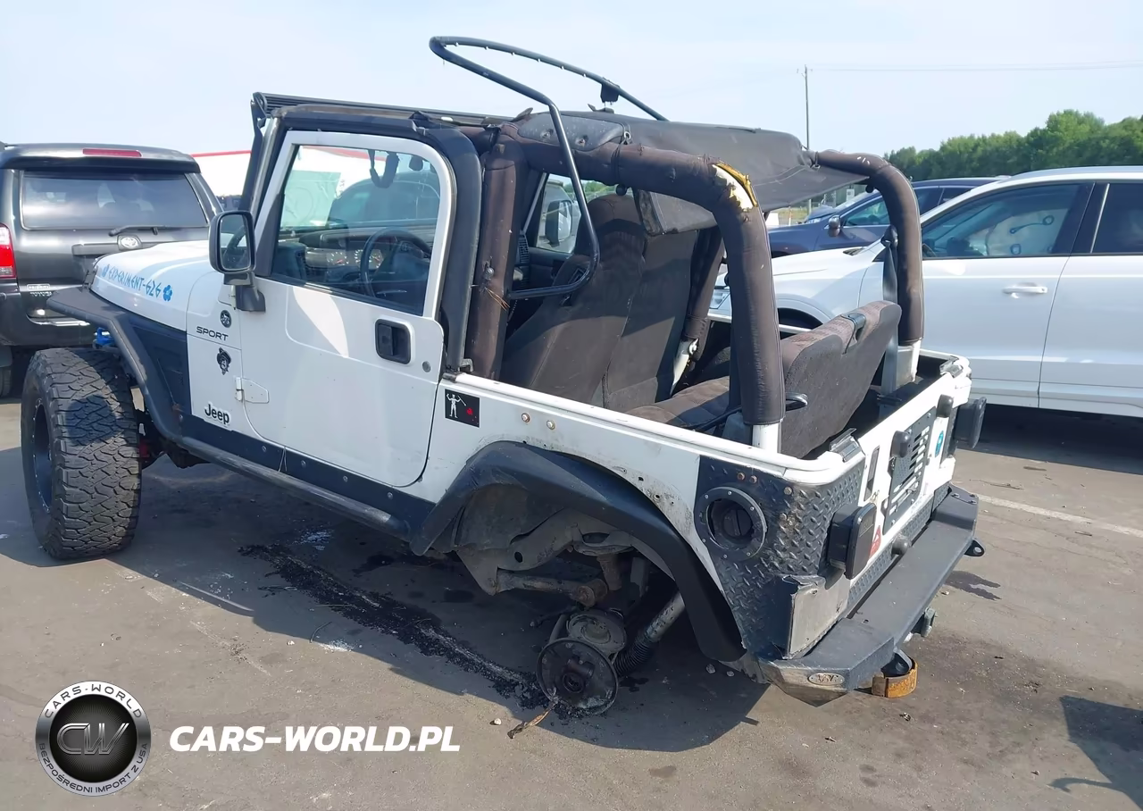 2003 Jeep Wrangler Sport VIN:1J4FA49S73P350122 - 3