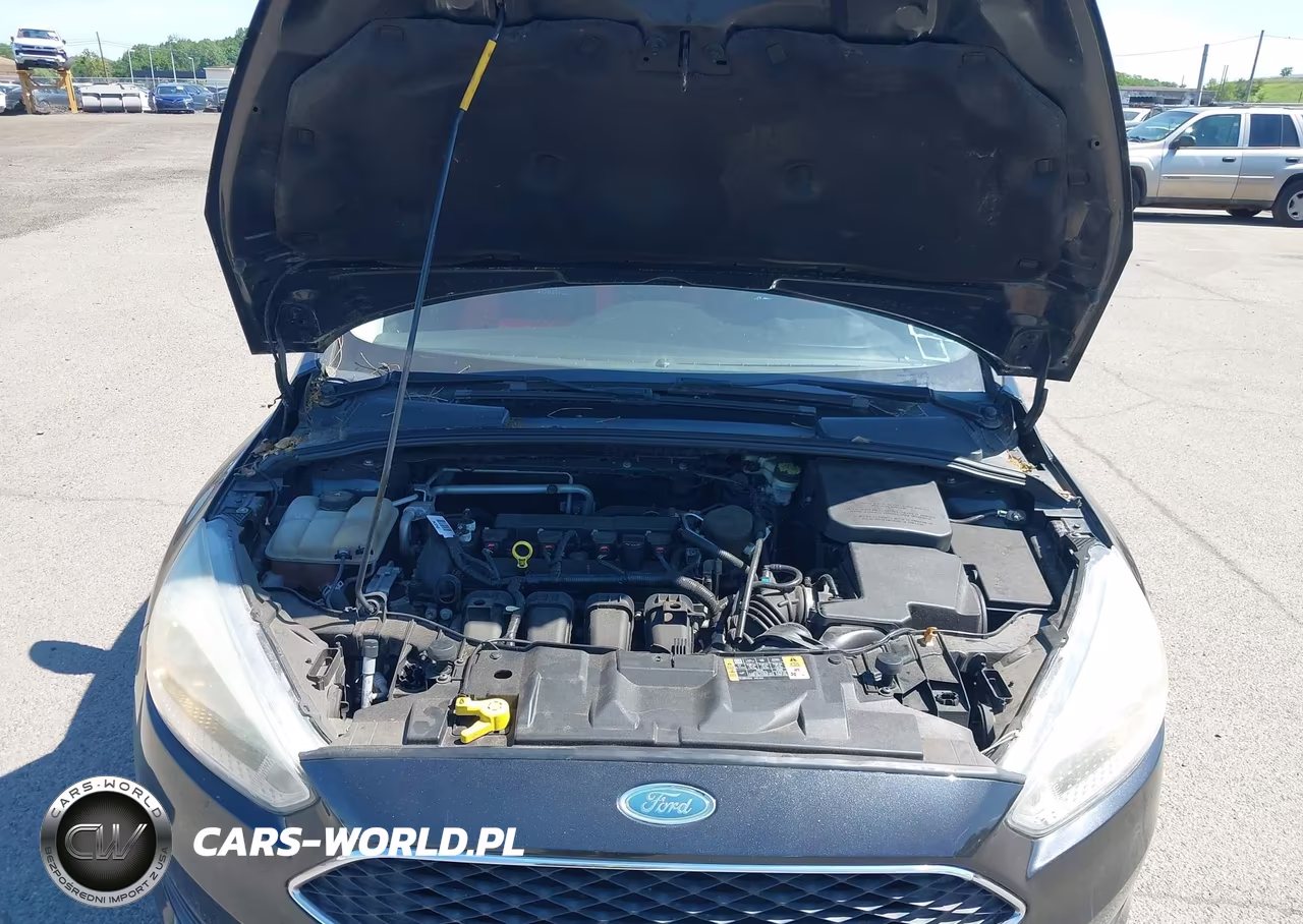 2015 Ford Focus Se VIN:1FADP3F29FL208656 - 10