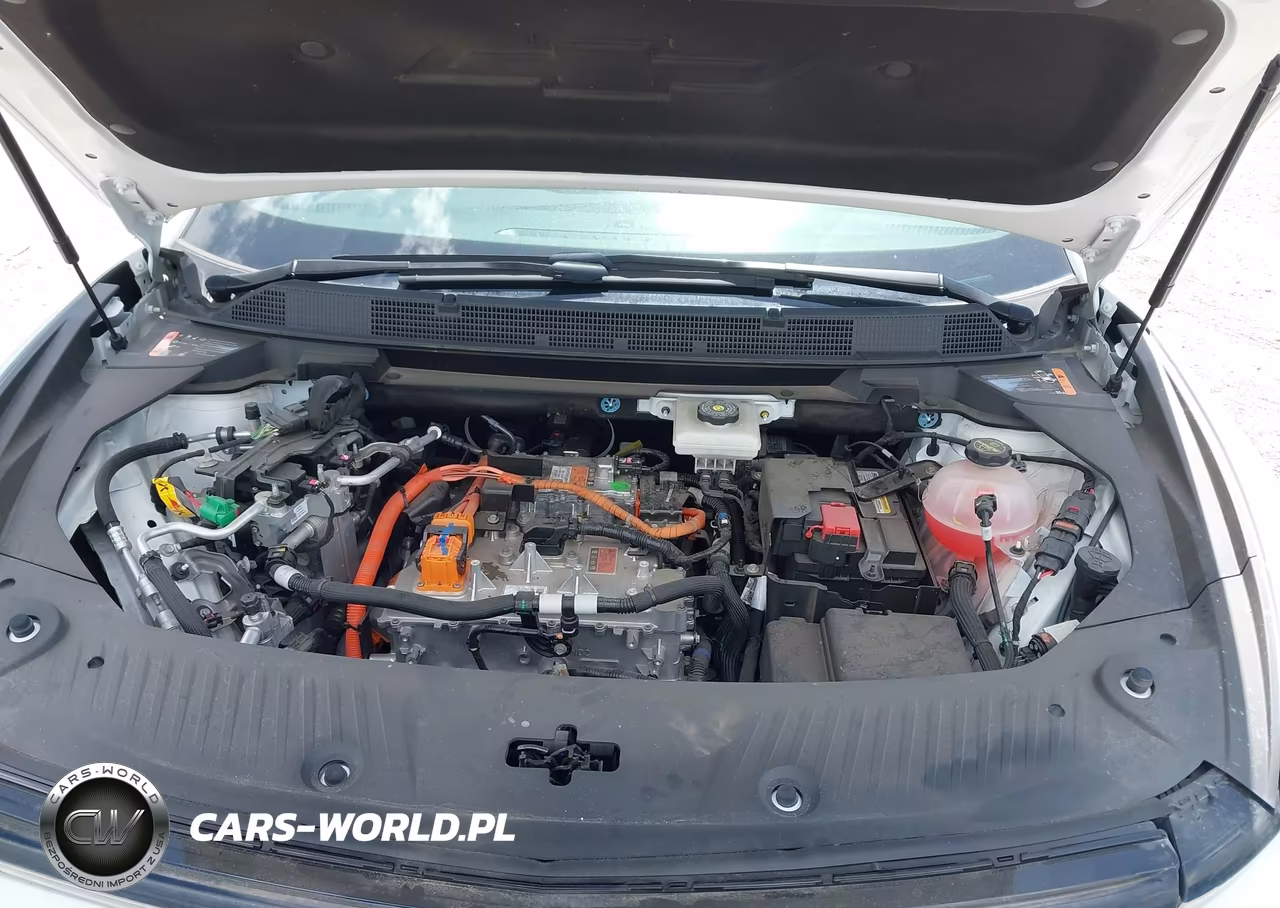 2024 Chevrolet Equinox Ev Lt VIN:3GN7DLRP8RS276136 - 10