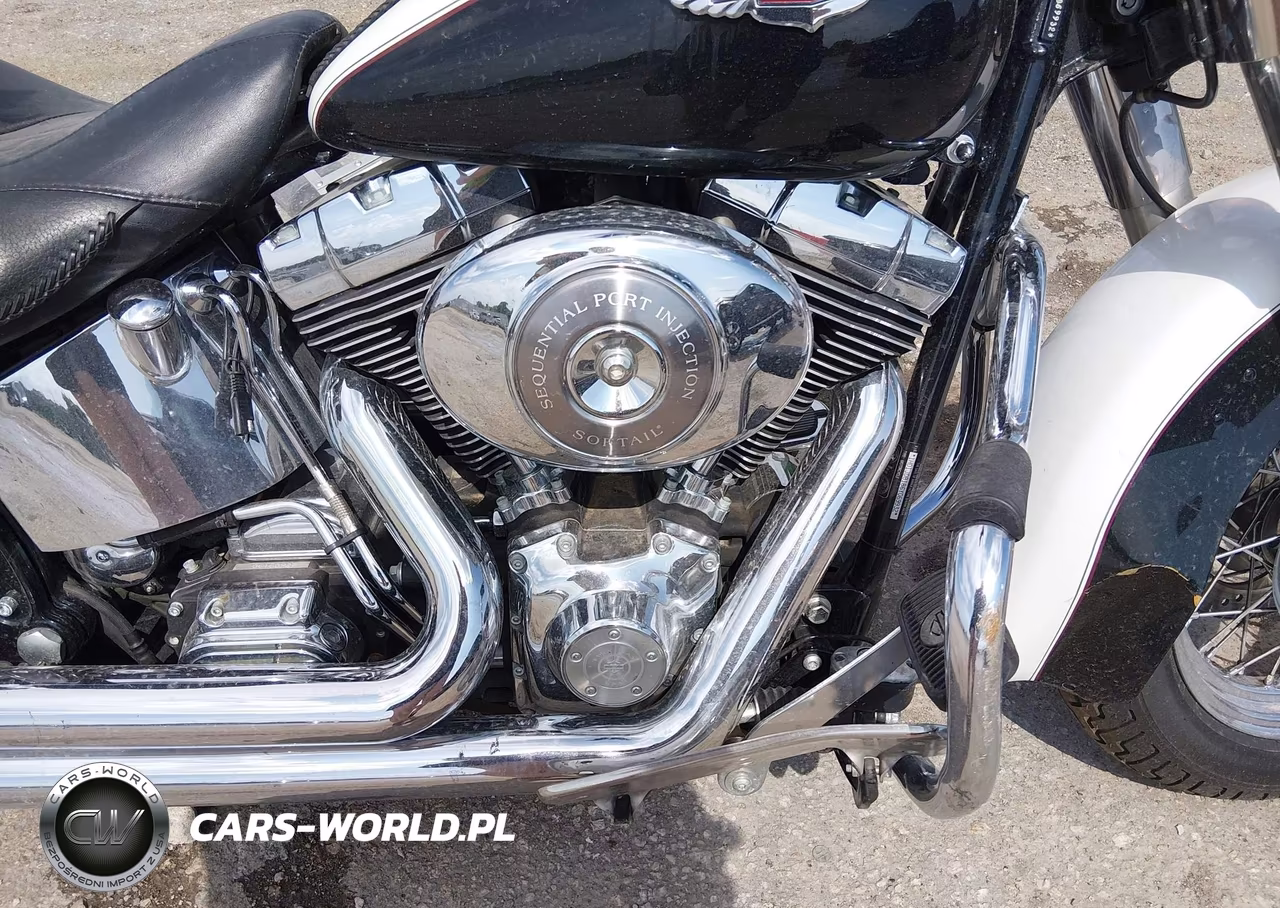 2006 Harley-Davidson Flstni VIN:1HD1JDB186Y069932 - 8