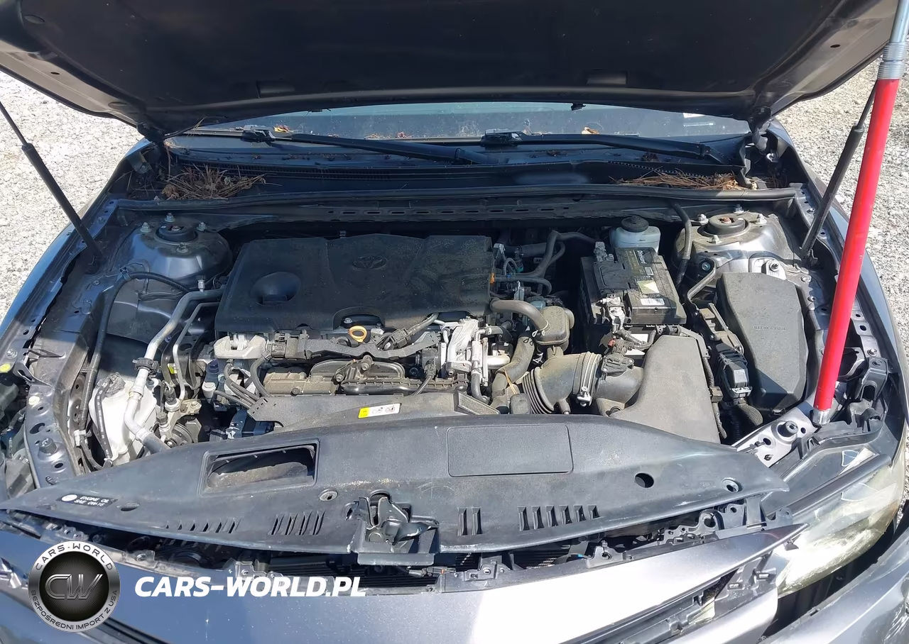 2020 Toyota Camry Le VIN:4T1C11AK9LU924476 - 10