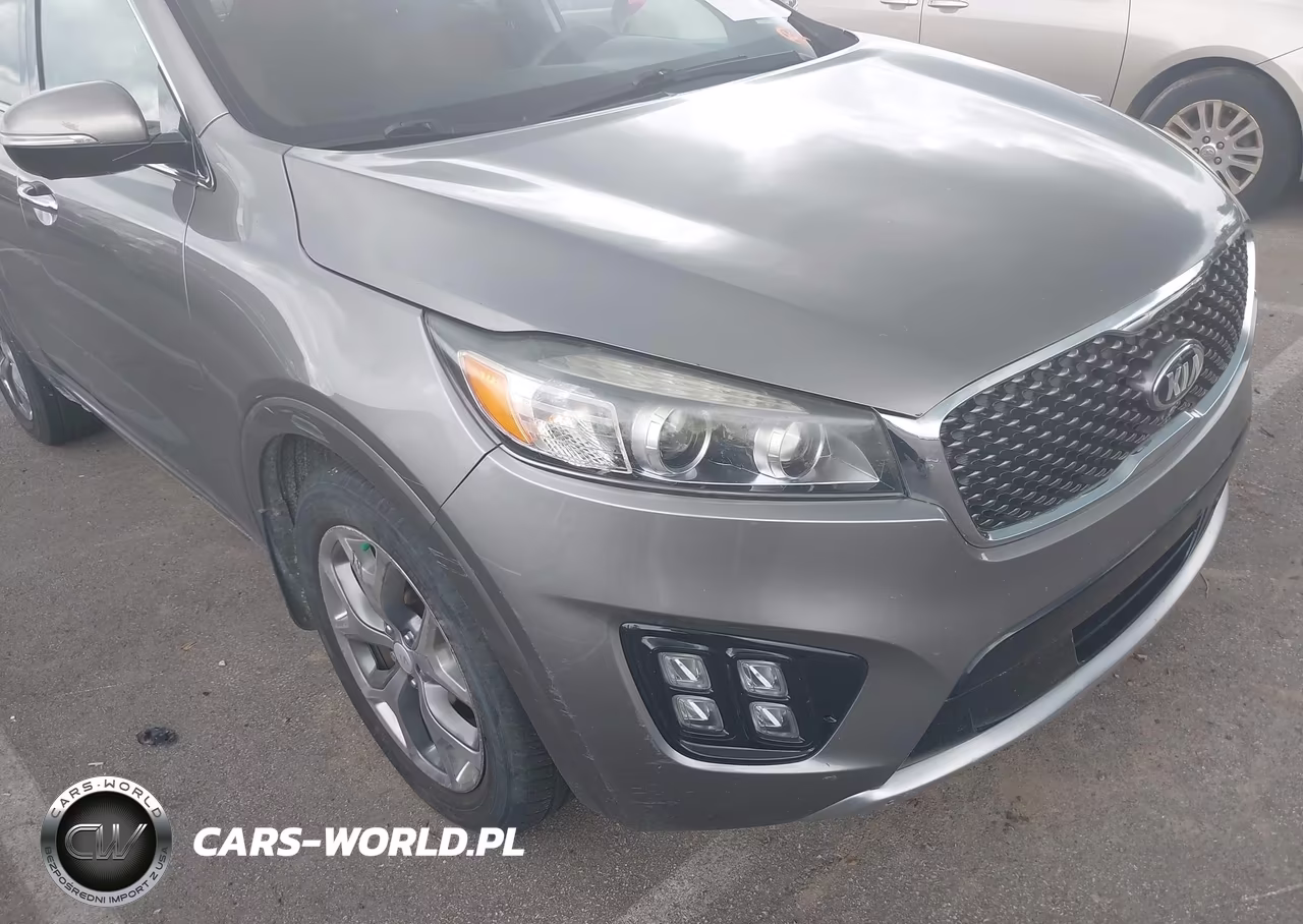 2016 Kia Sorento 2.0T Sxl VIN:5XYPK4A13GG059605 - 12