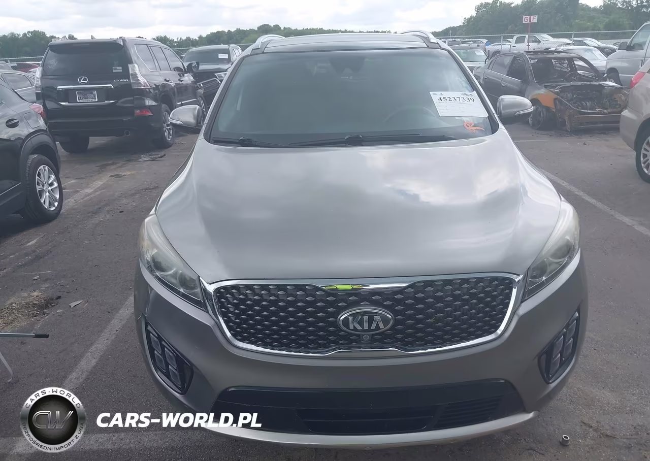 2016 Kia Sorento 2.0T Sxl VIN:5XYPK4A13GG059605 - 13