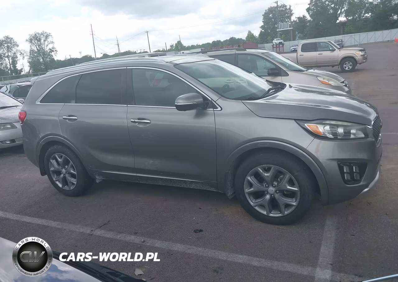 2016 Kia Sorento 2.0T Sxl VIN:5XYPK4A13GG059605 - 14