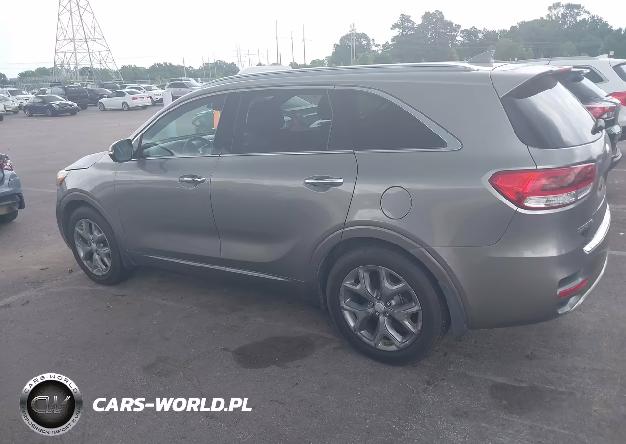 2016 Kia Sorento 2.0T Sxl VIN:5XYPK4A13GG059605 - 15