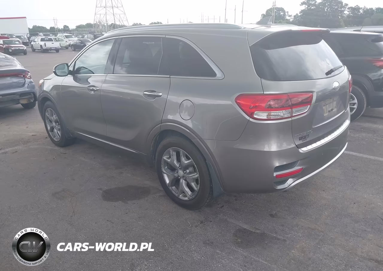 2016 Kia Sorento 2.0T Sxl VIN:5XYPK4A13GG059605 - 3