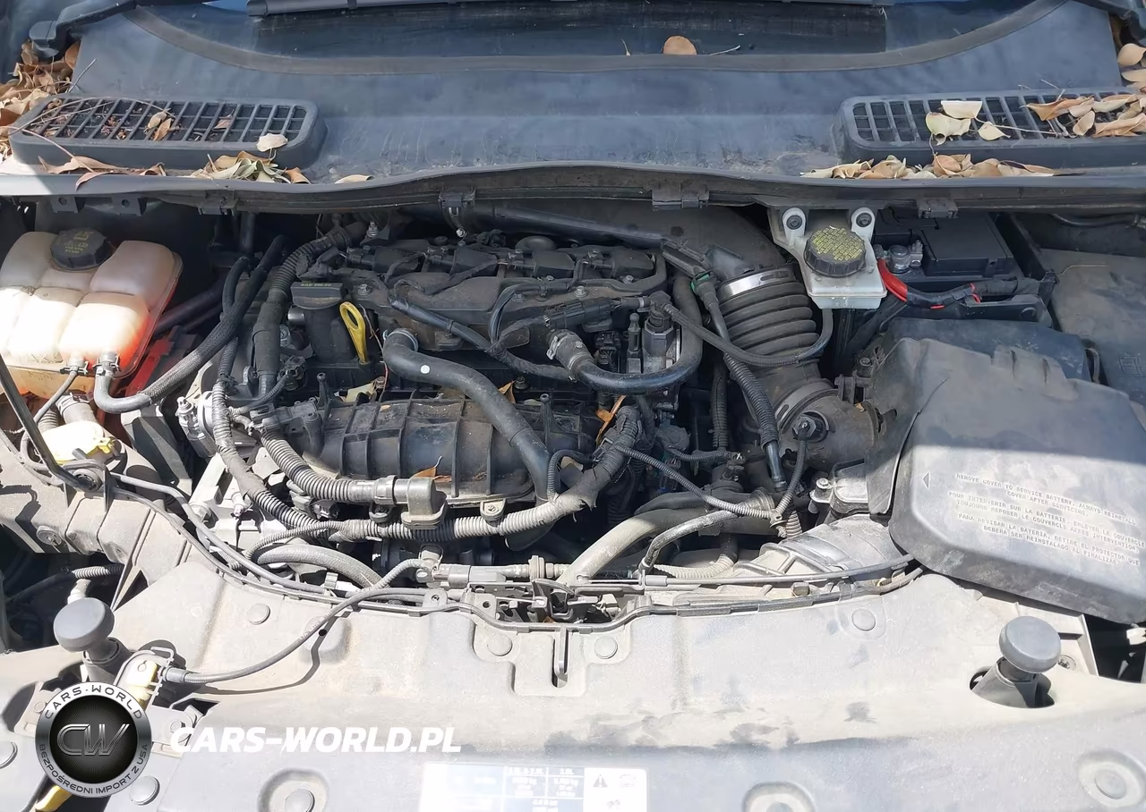 2014 Ford Escape Se VIN:1FMCU0GX3EUE27138 - 10