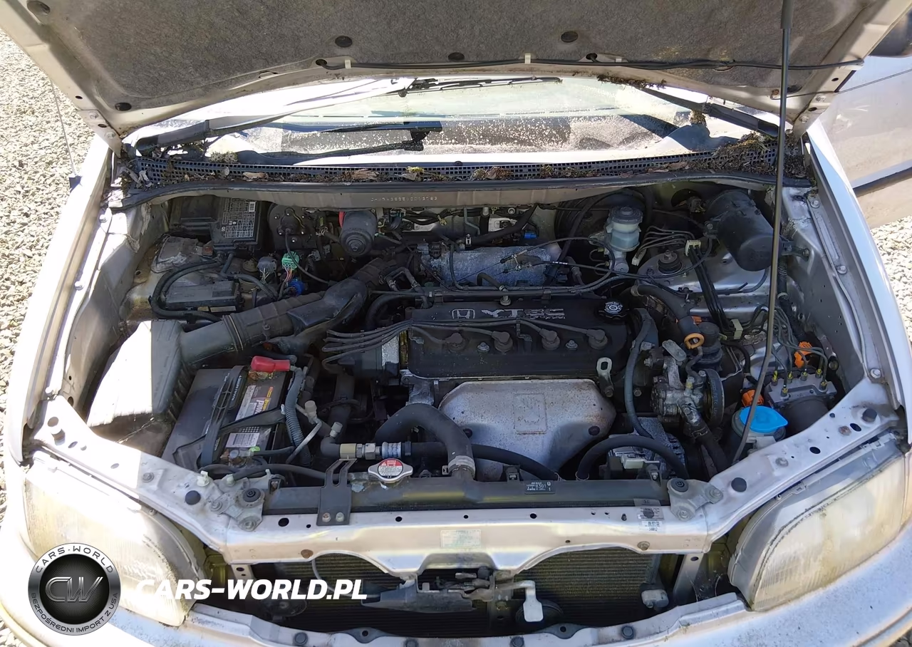 1998 Honda Odyssey Ex-Lx VIN:JHMRA3865WC013783 - 10