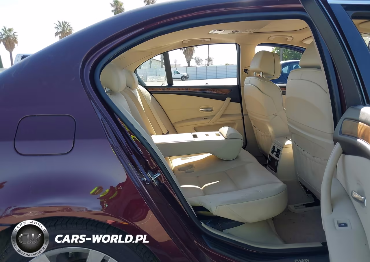 2010 BMW 528I VIN:WBANU5C50AC442112 - 8