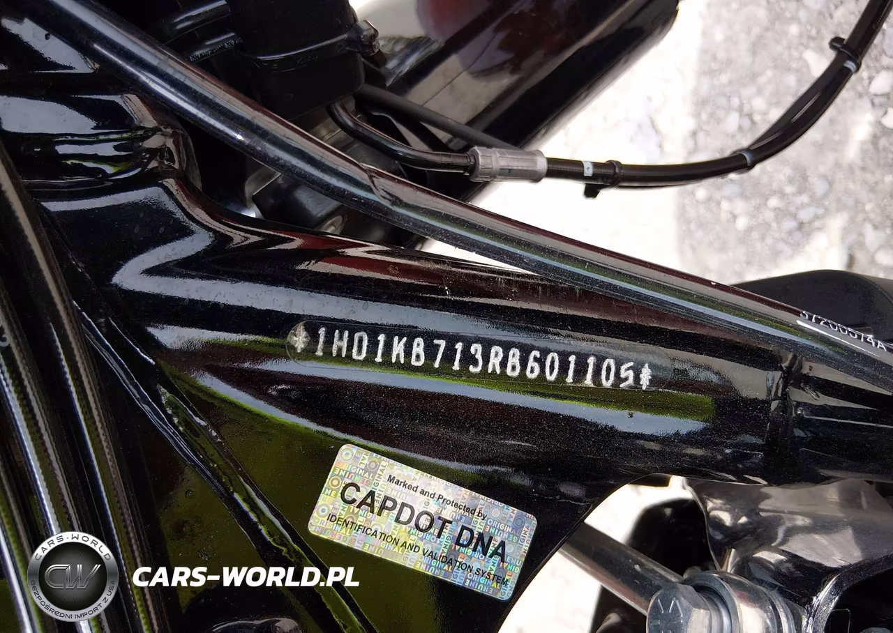 2024 Harley-Davidson Flhx VIN:1HD1KB713RB601105 - 10