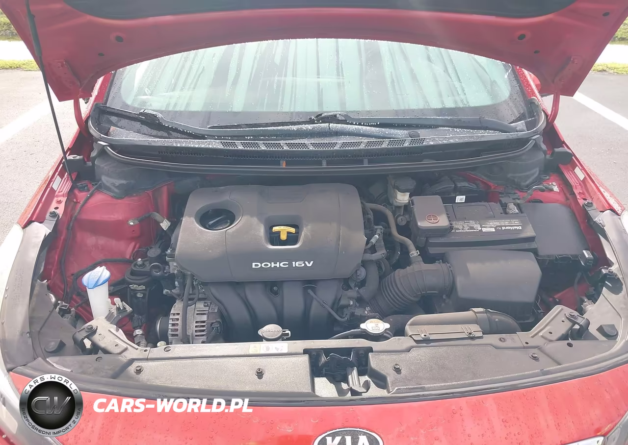 2017 Kia Forte S VIN:3KPFL4A76HE117167 - 10