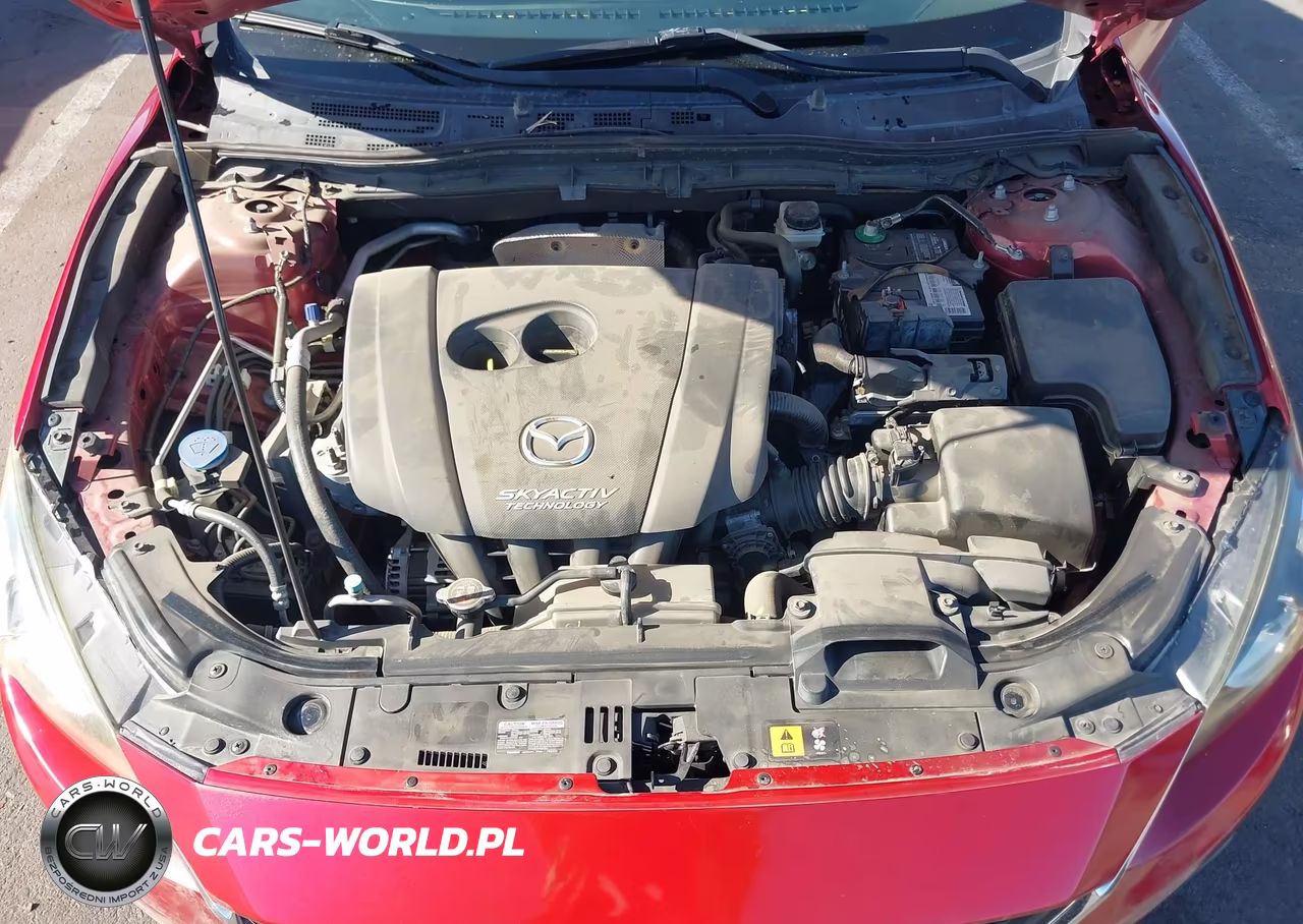 2016 Mazda Mazda3 I Sport VIN:JM1BM1J79G1289186 - 10