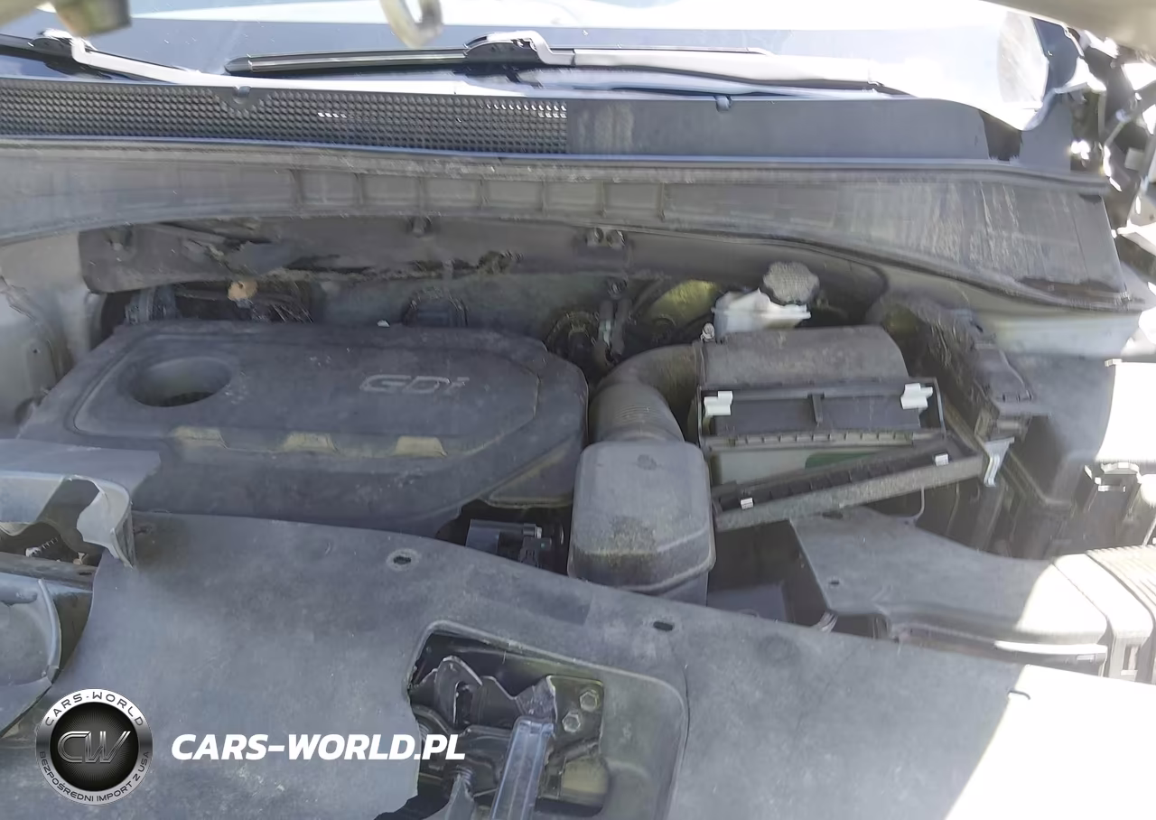 2018 Kia Sorento 2.4L Lx VIN:5XYPG4A3XJG407474 - 10