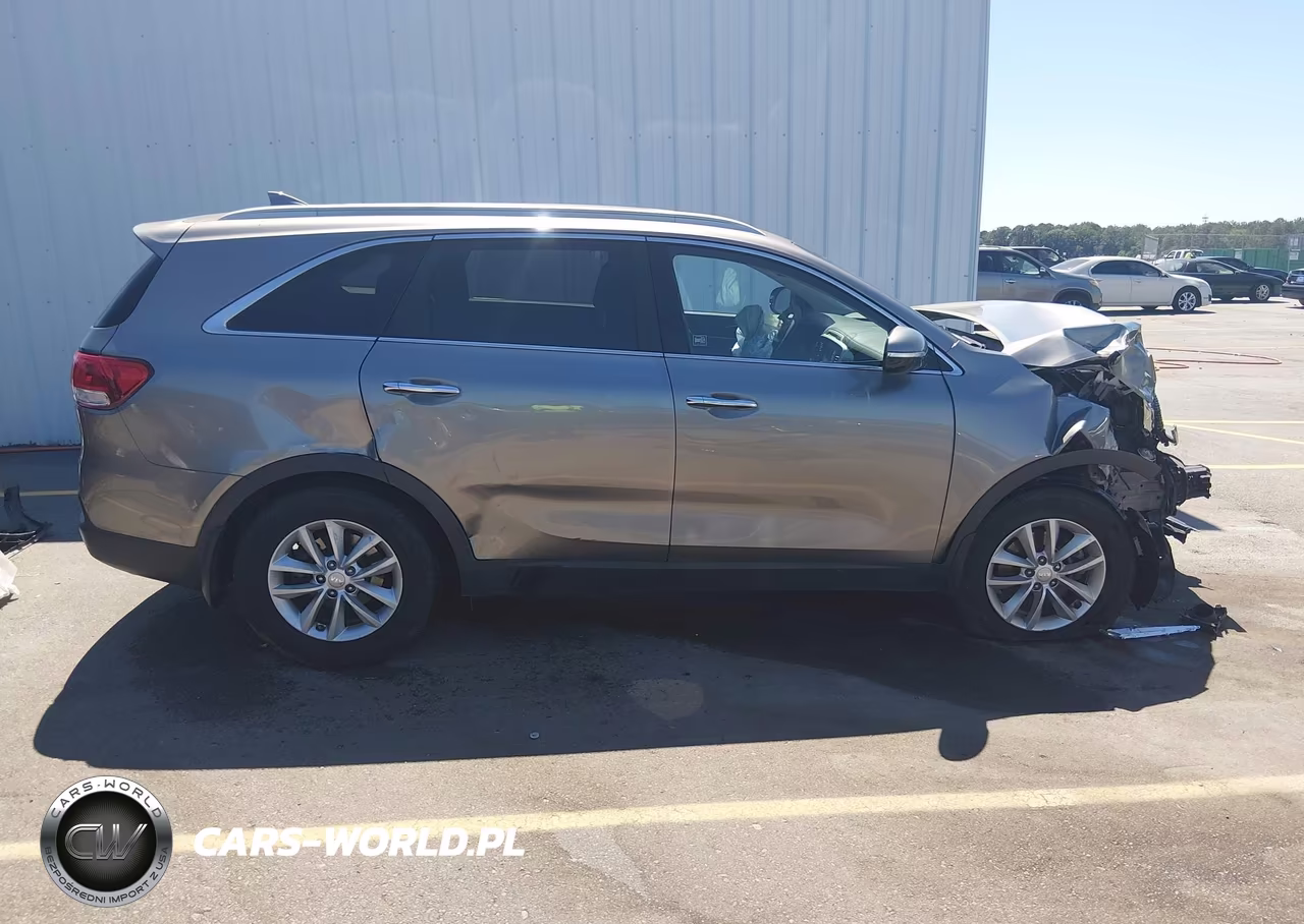 2018 Kia Sorento 2.4L Lx VIN:5XYPG4A3XJG407474 - 13