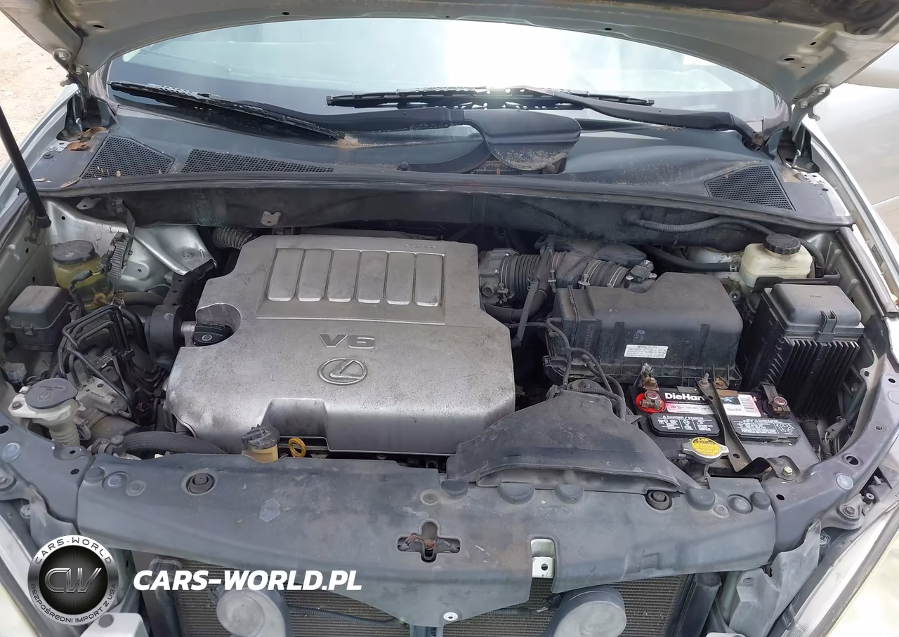 2007 Lexus Rx 350 VIN:2T2GK31U97C004491 - 10