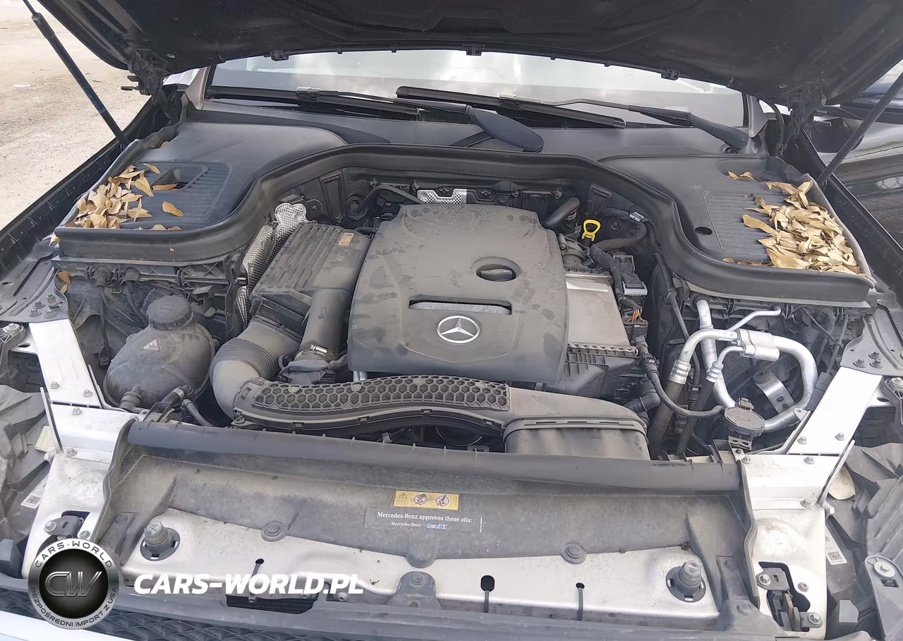 2017 Mercedes-Benz Glc 300 VIN:WDC0G4JB8HF257798 - 10