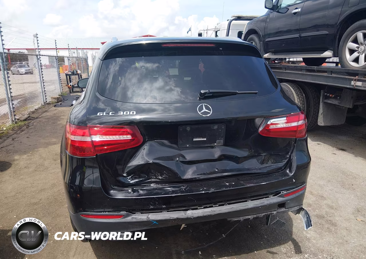 2017 Mercedes-Benz Glc 300 VIN:WDC0G4JB8HF257798 - 16