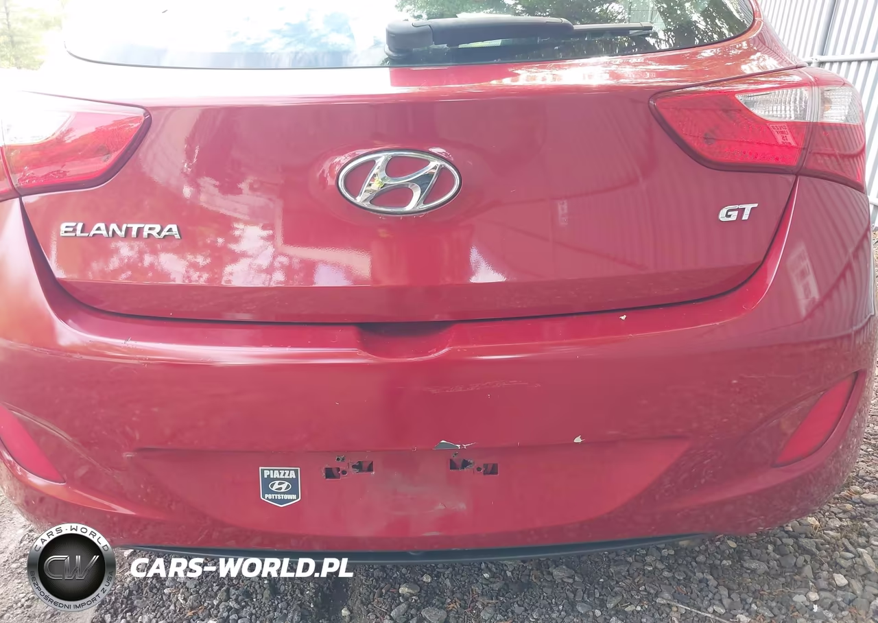 2016 Hyundai Elantra Gt VIN:KMHD35LH9GU305163 - 12