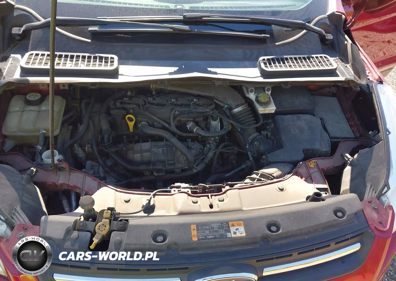 2016 Ford Escape Se VIN:1FMCU0GX0GUC01349 - 10