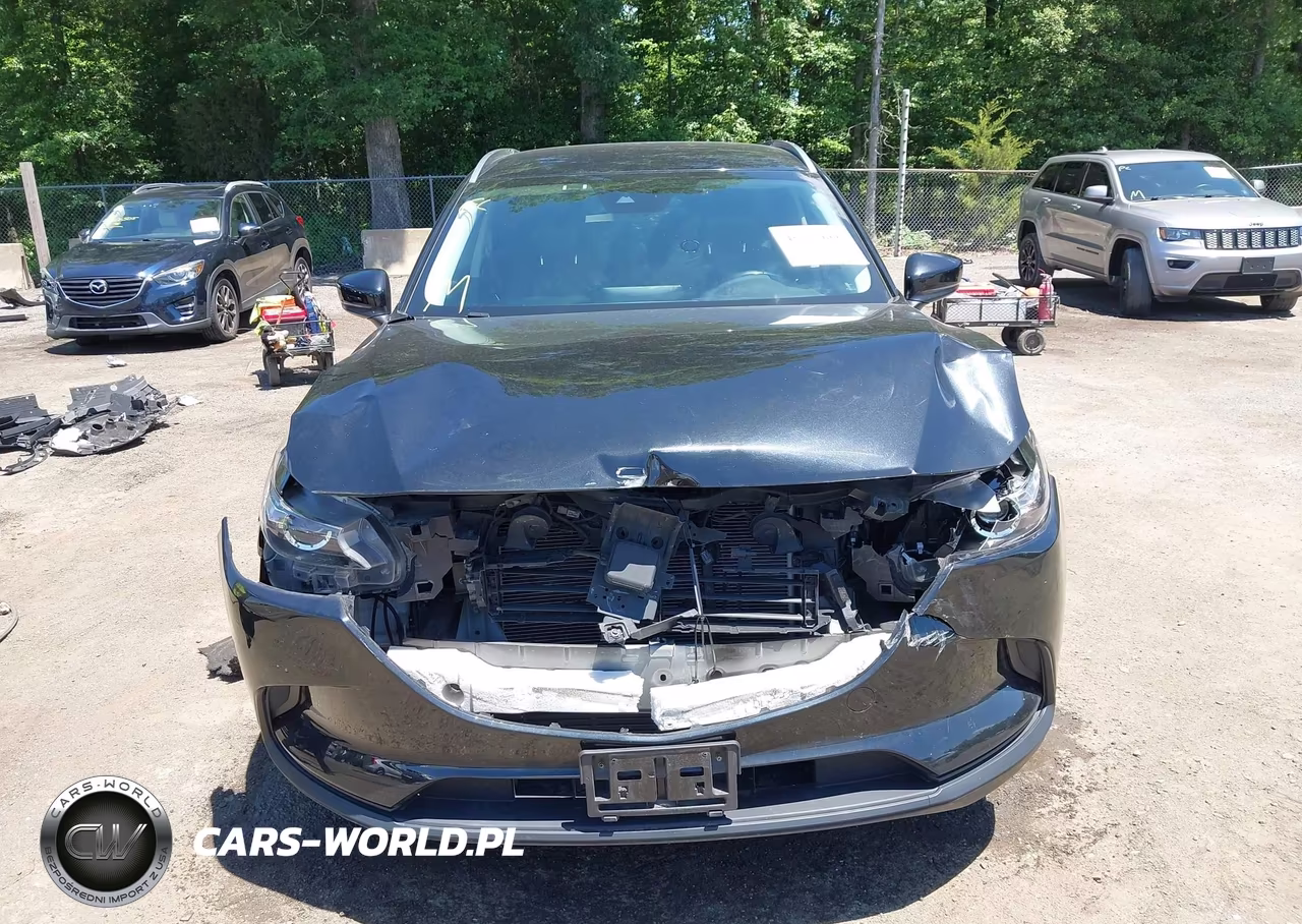 2021 Mazda Cx-9 Touring VIN:JM3TCBCY0M0501775 - 12