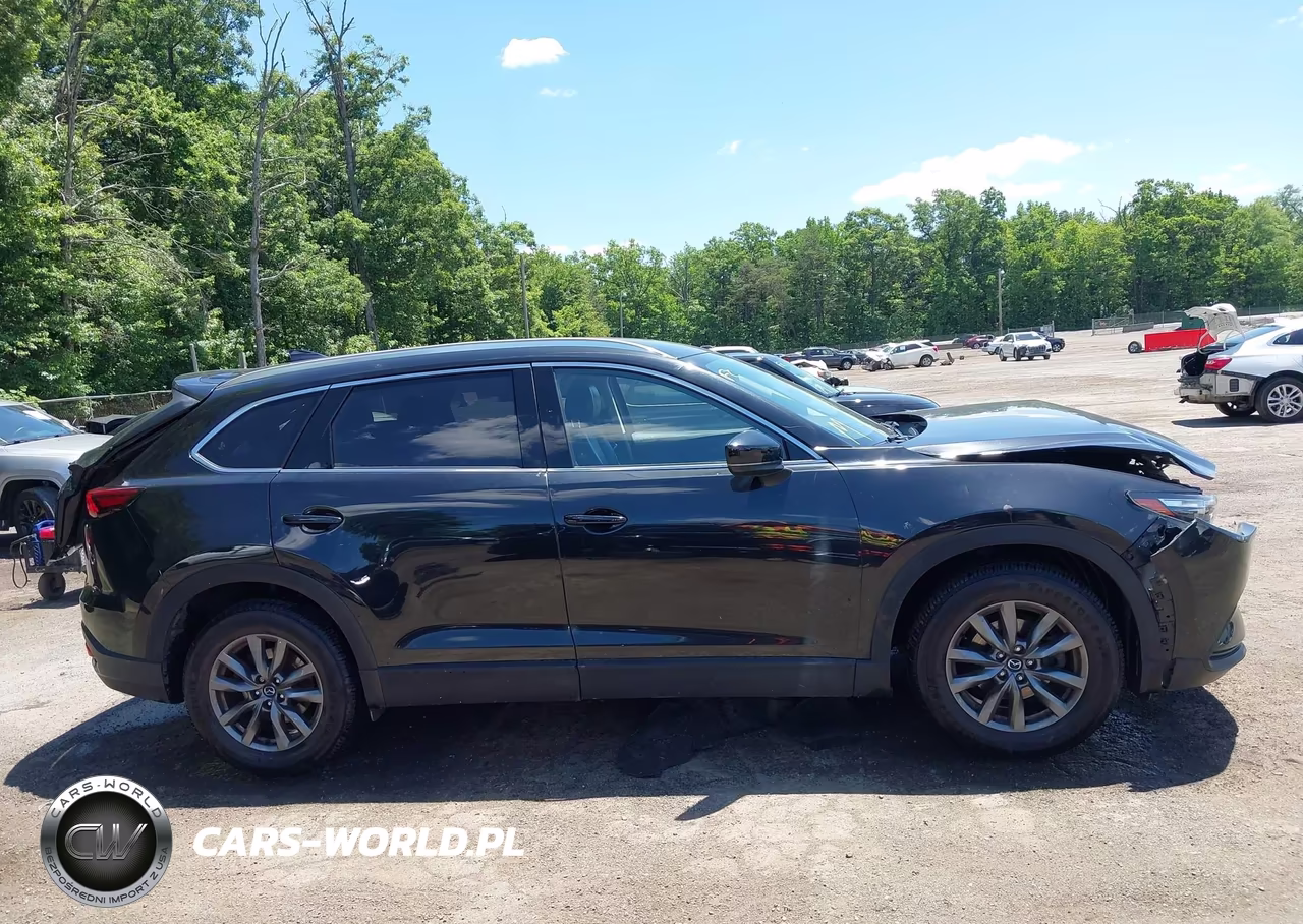 2021 Mazda Cx-9 Touring VIN:JM3TCBCY0M0501775 - 13
