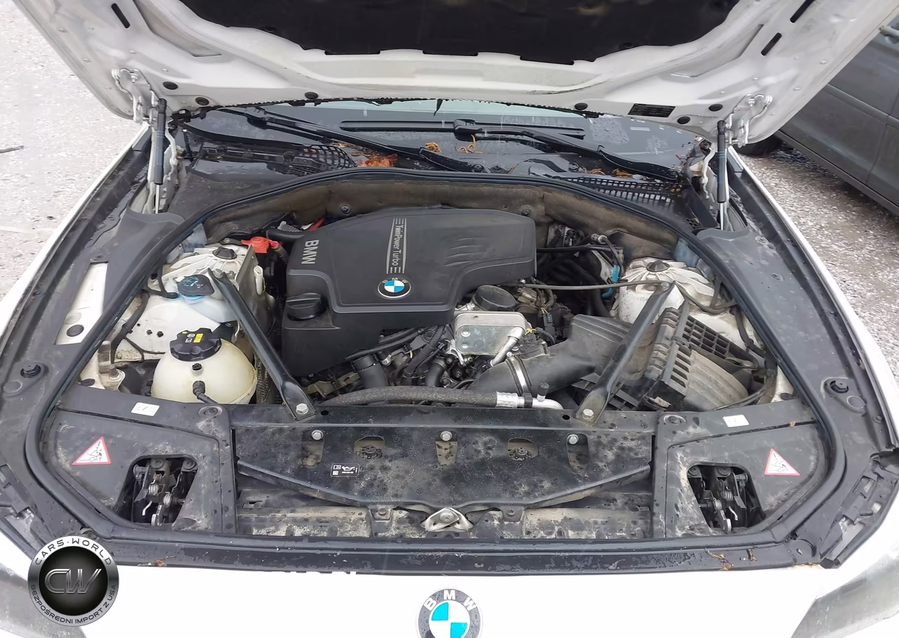 2016 BMW 528I VIN:WBA5A5C52GD528209 - 10