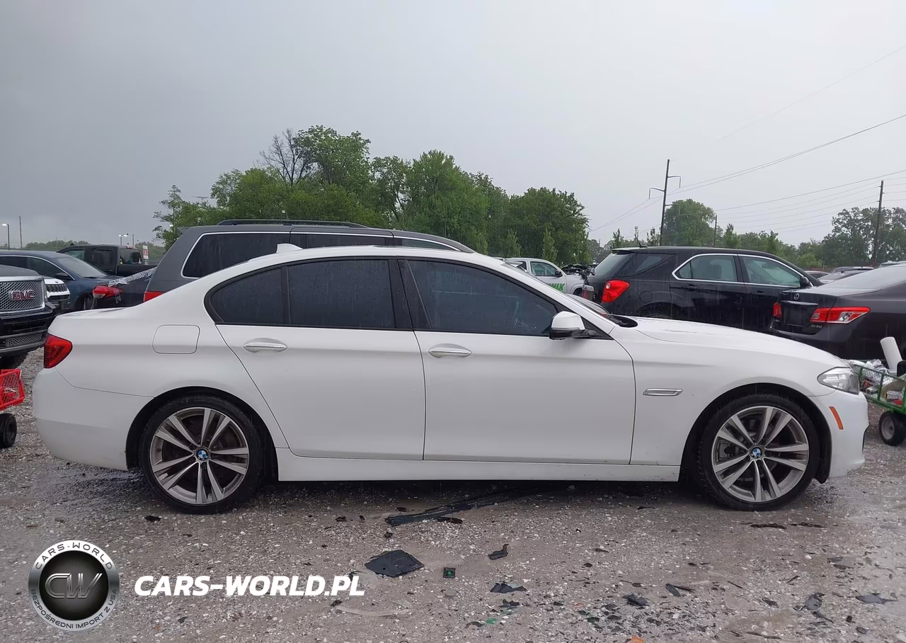 2016 BMW 528I VIN:WBA5A5C52GD528209 - 13
