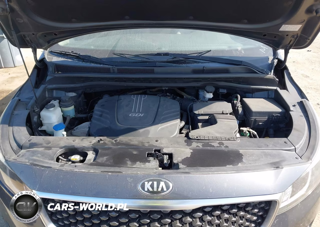2016 Kia Sedona Lx VIN:KNDMB5C19G6113904 - 10