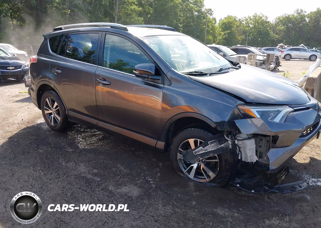 2017 Toyota Rav4 Xle – zdjęcie 1 z 16