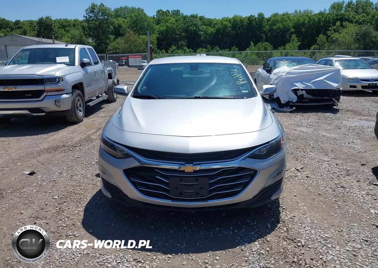 2019 Chevrolet Malibu Lt VIN:1G1ZD5ST1KF126893 - 12