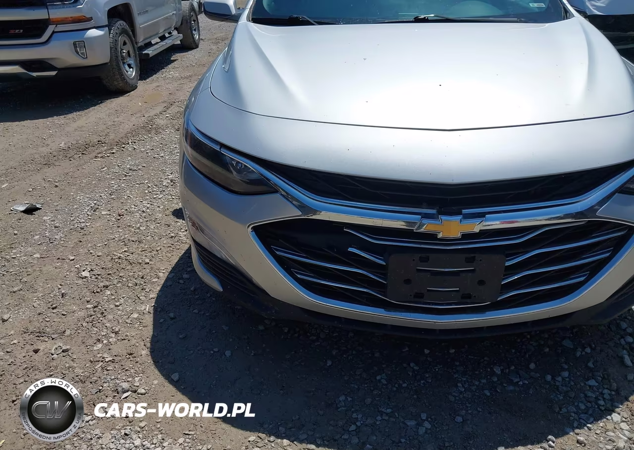 2019 Chevrolet Malibu Lt VIN:1G1ZD5ST1KF126893 - 6