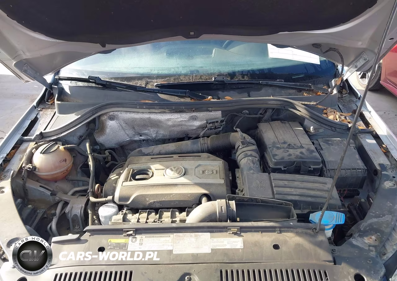 2012 Volkswagen Tiguan Le VIN:WVGAV7AX9CW560817 - 10
