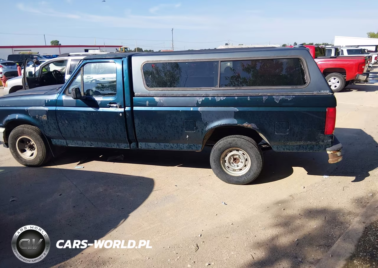 1994 Ford F150 VIN:1FTEF15Y2RLB07846 - 3