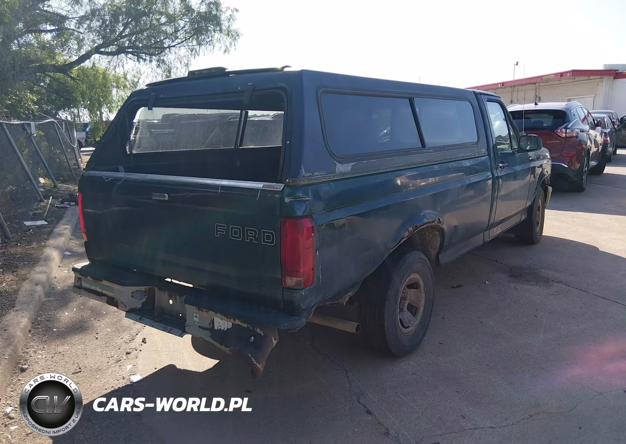 1994 Ford F150 VIN:1FTEF15Y2RLB07846 - 4
