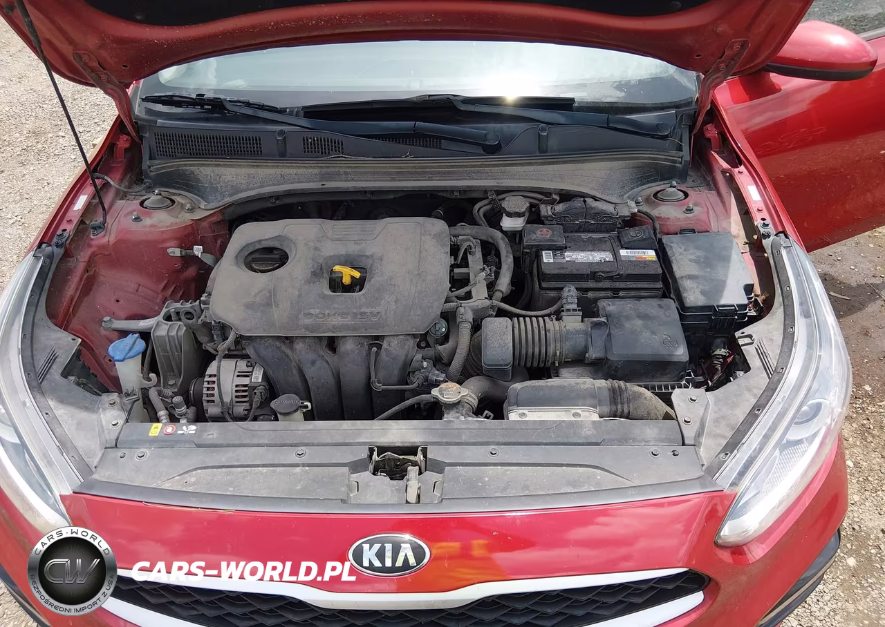 2019 Kia Forte Lxs VIN:3KPF24AD1KE063440 - 10