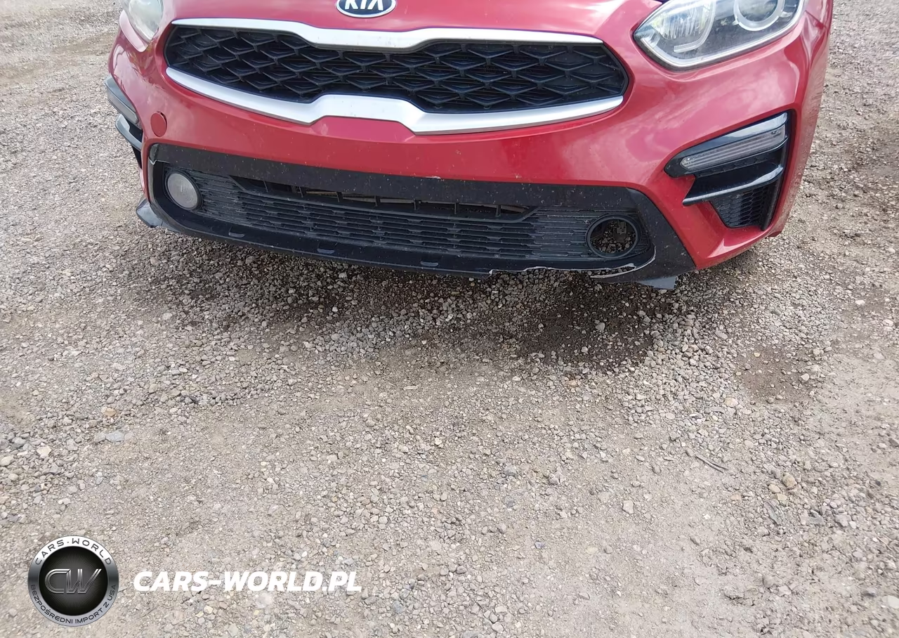2019 Kia Forte Lxs VIN:3KPF24AD1KE063440 - 6