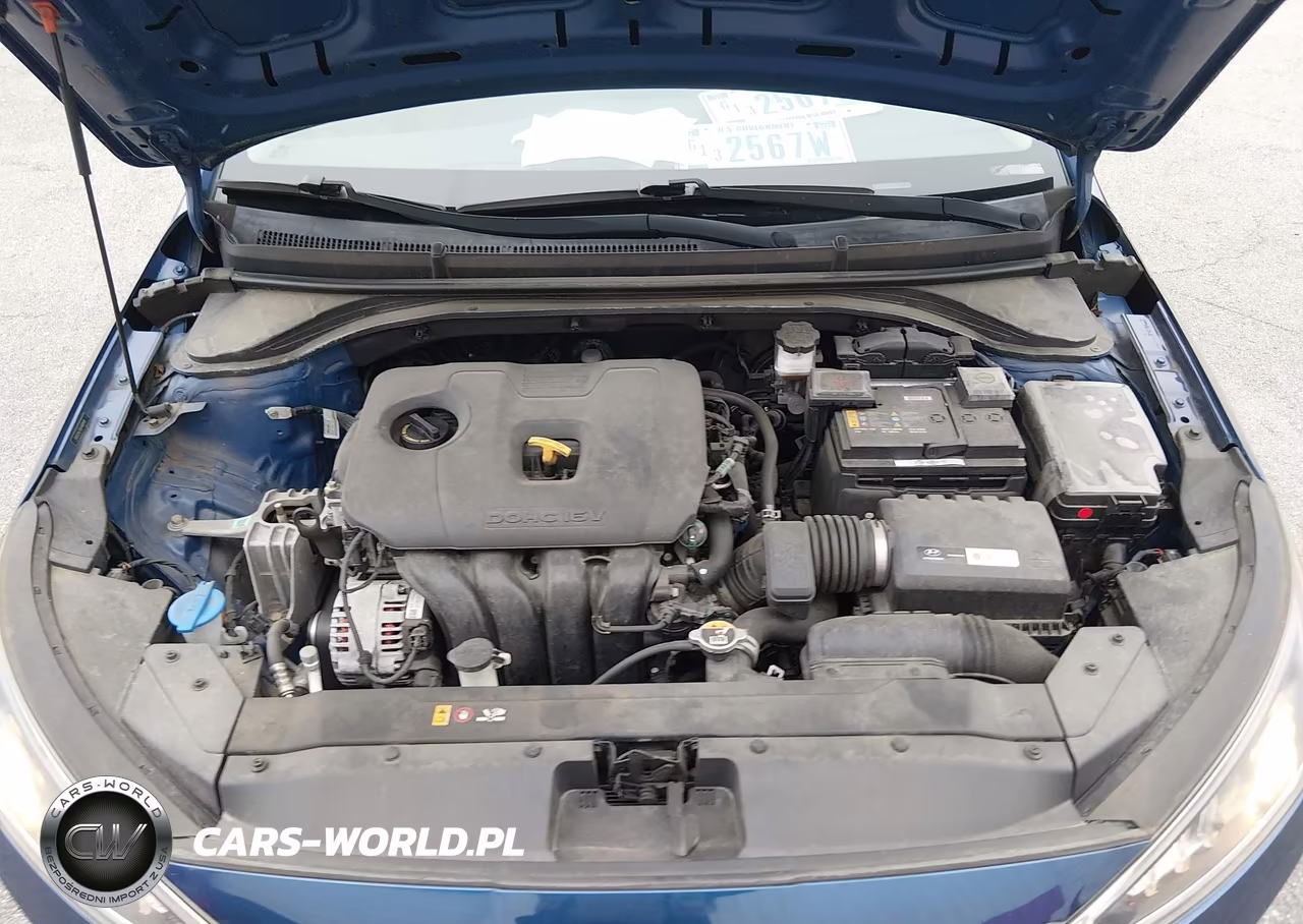 2019 Hyundai Elantra Se VIN:5NPD74LF8KH489418 - 10