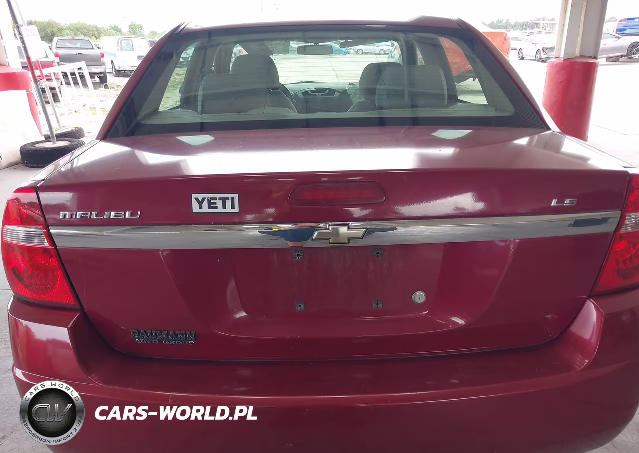 2006 Chevrolet Malibu Ls VIN:1G1ZS51F36F299175 - 16