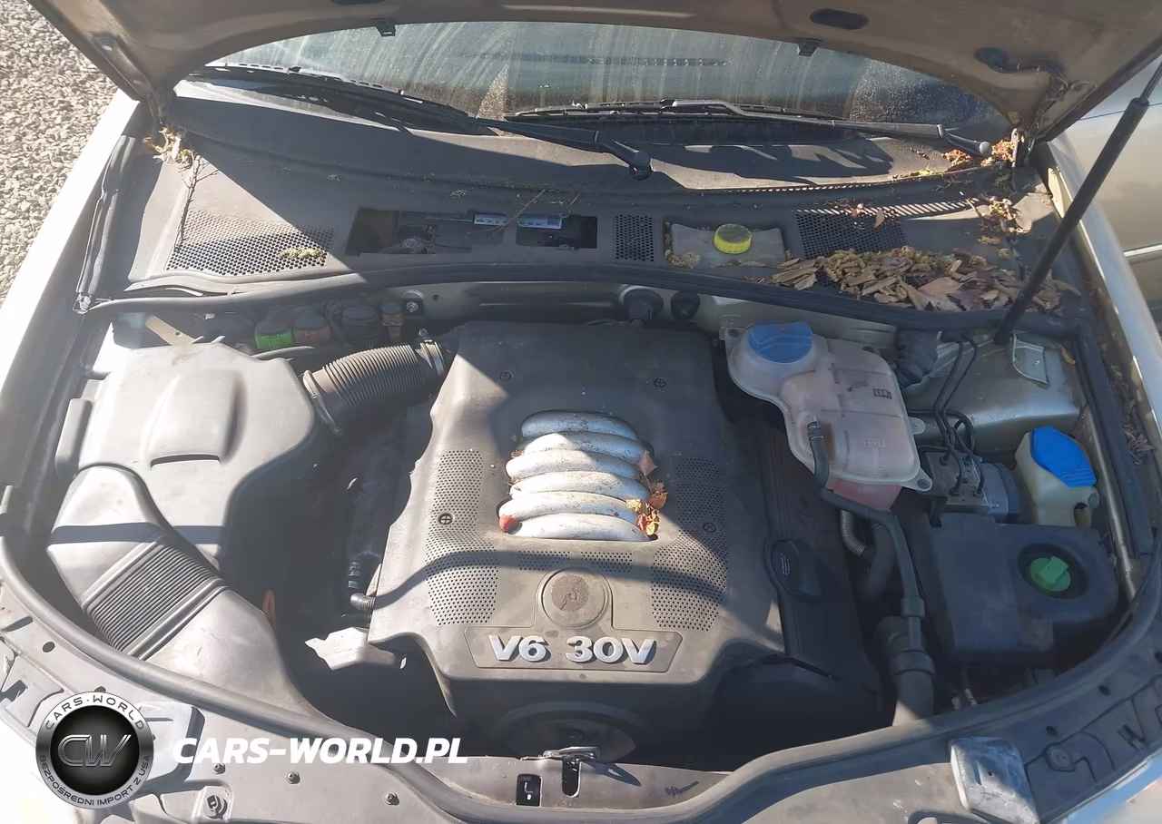 2002 Volkswagen Passat Glx VIN:WVWYH63B02E196622 - 10