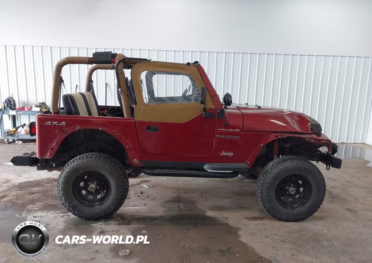 1998 Jeep Wrangler Se VIN:1J4FY29P4WP732558 - 13